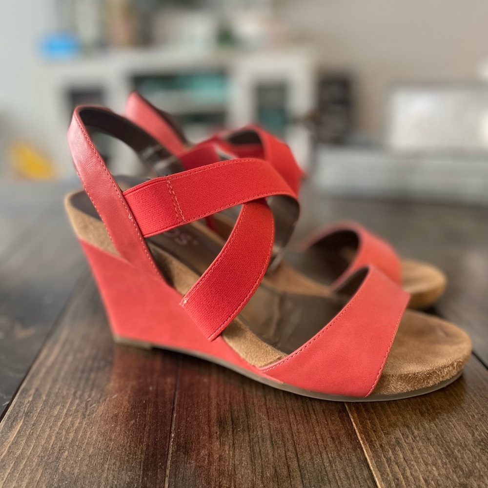 🪸 Coral Wedges